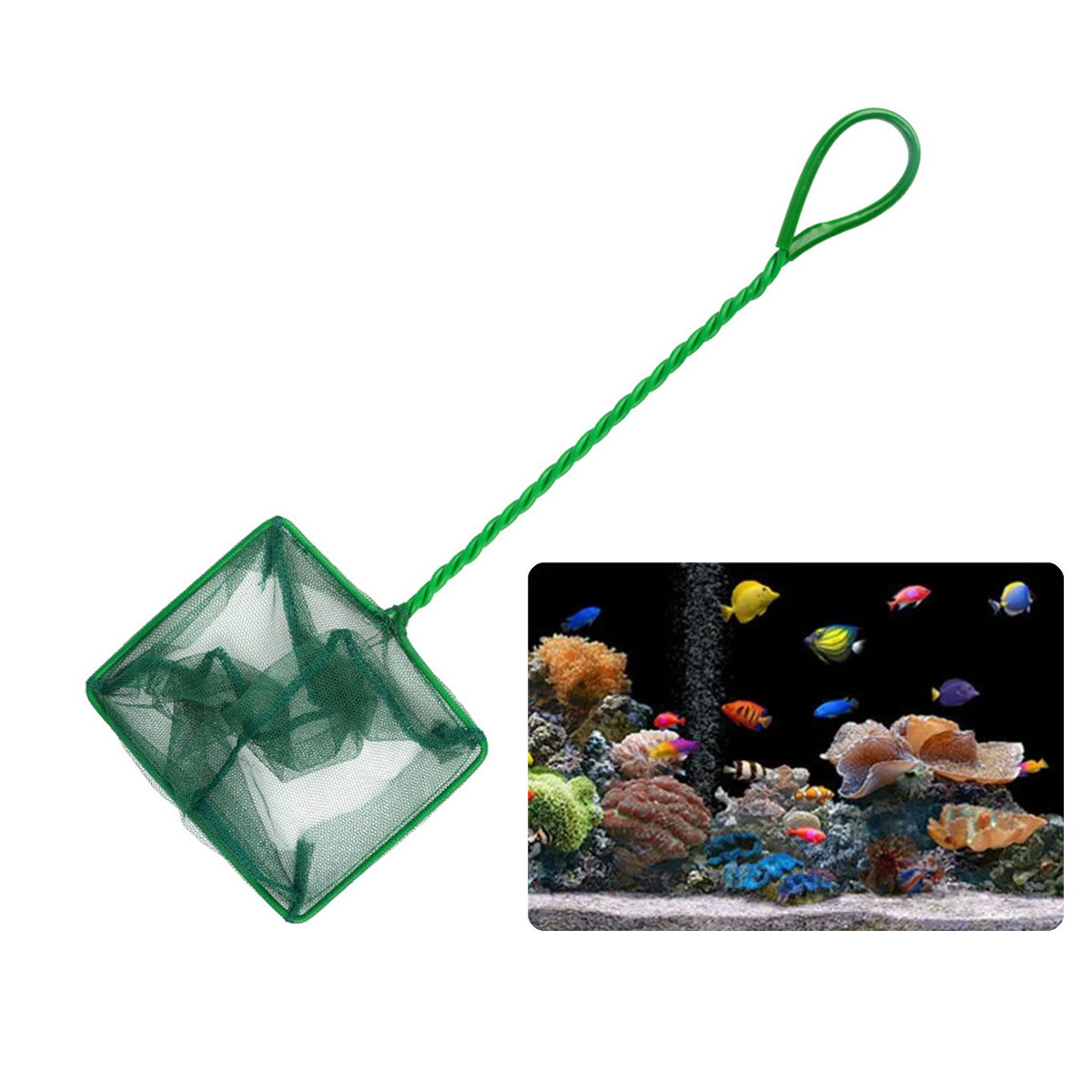 3~10 Inch Portable Nylon Green - đánh giá và giá Aquarium Fish Net Small
