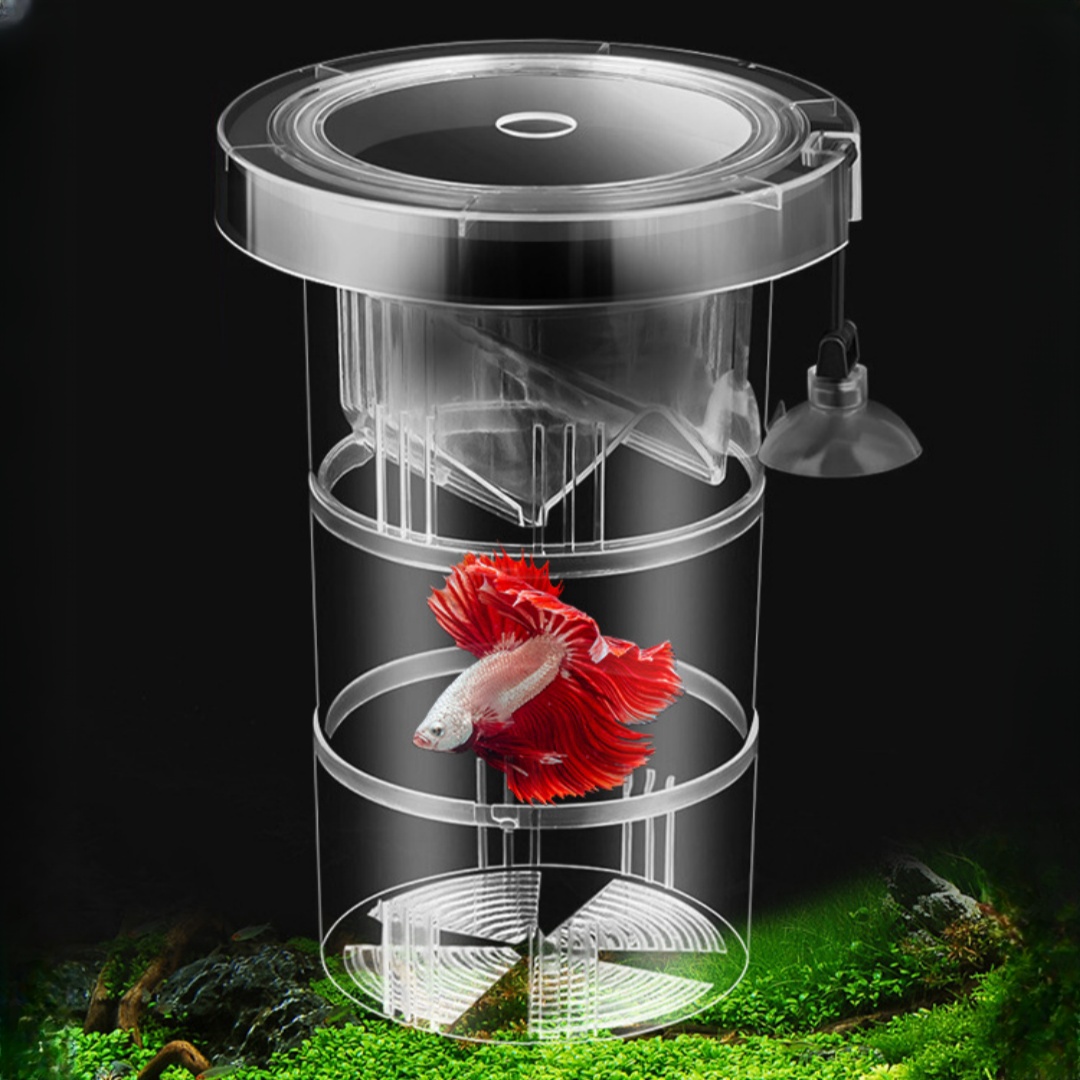 Acrylic Floating Fish Breeding - đánh giá và giá Aquarium Fish Auto Feeder