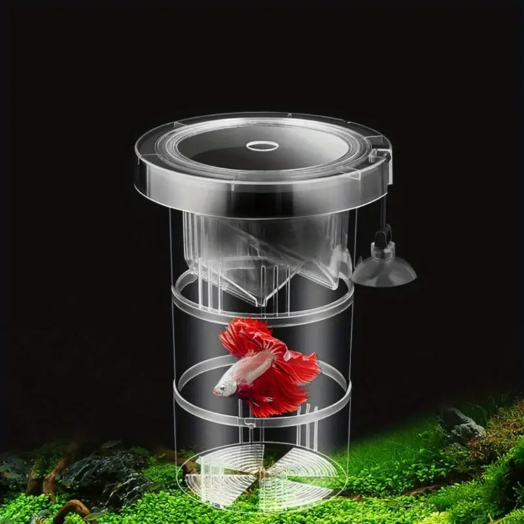 Acrylic Floating Fish Breeding - đánh giá và giá Aquarium Fish Auto Feeder