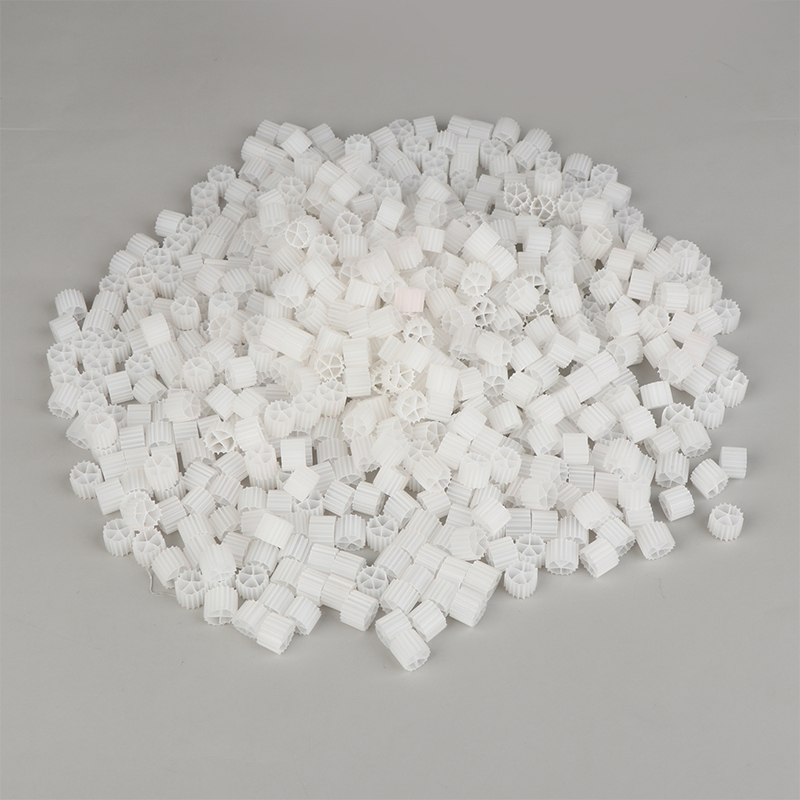 1Bag(150g) K1 Filter Media Bio - đánh giá và giá Aquarium Fish Diseases