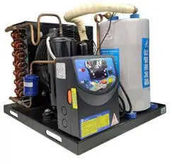 High Quality Industrial Small  - đánh giá và giá Aquarium Fish High Price