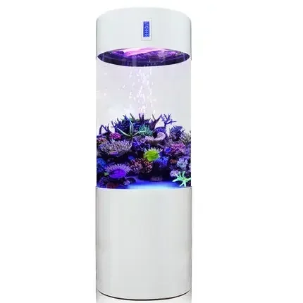 Floor Standing Cylinder Acryli - đánh giá và giá Aquarium Fish Elevator