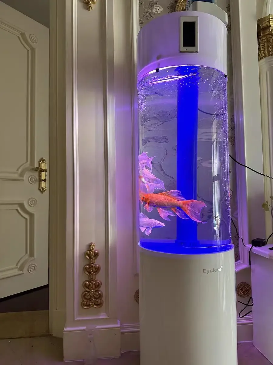 Floor Standing Cylinder Acryli - đánh giá và giá Aquarium Fish Elevator