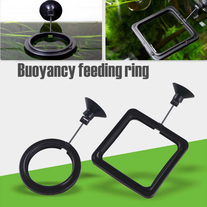 Aquarium Fish Feeding Ring Fis - đánh giá và giá Aquarium Fish Auto Feeder